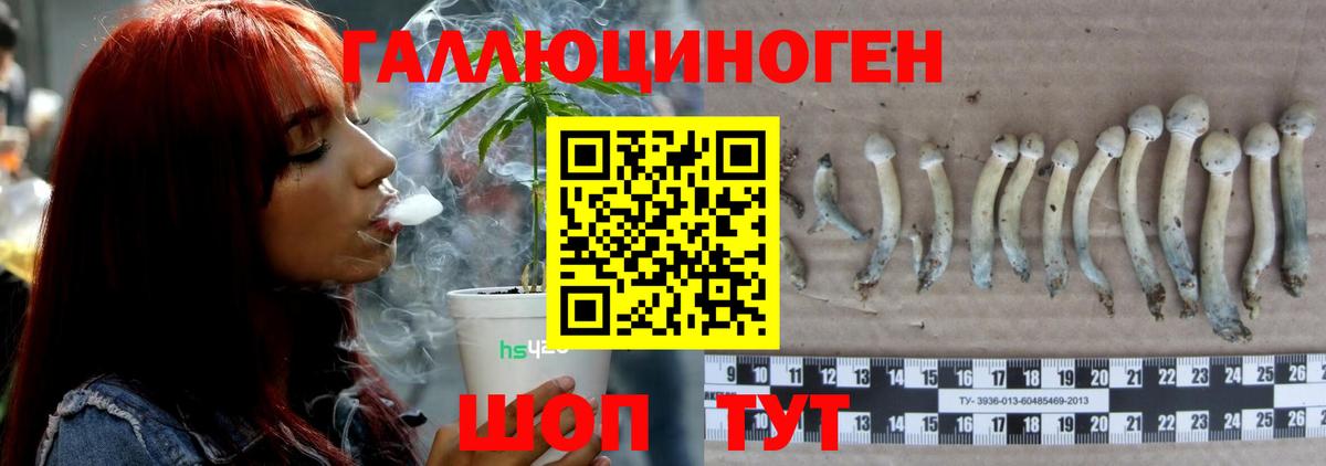Галлюциногенные грибы Psilocybine cubensis Воткинск